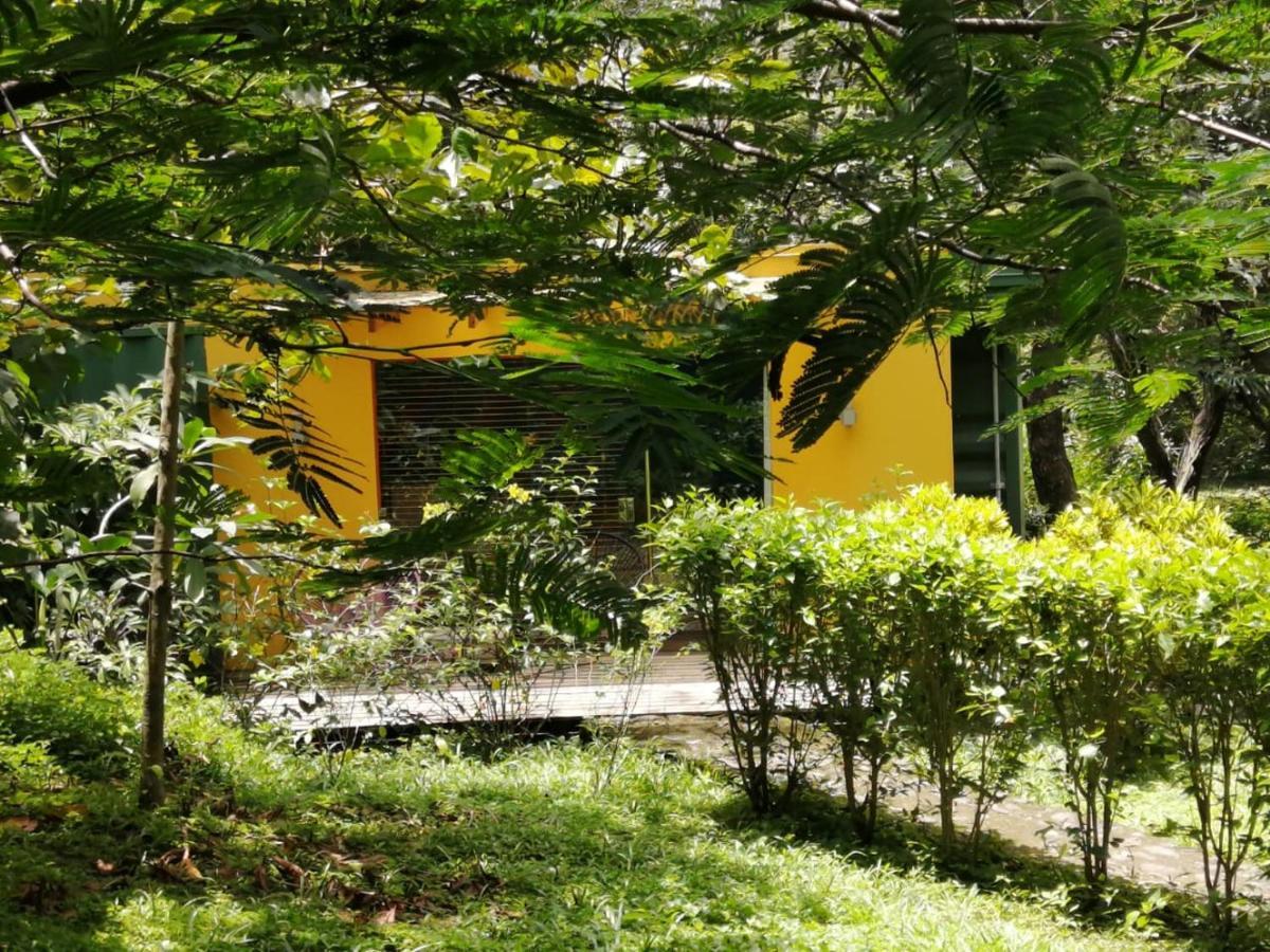 Casa Rural Aroma De Campo Curubande Екстер'єр фото